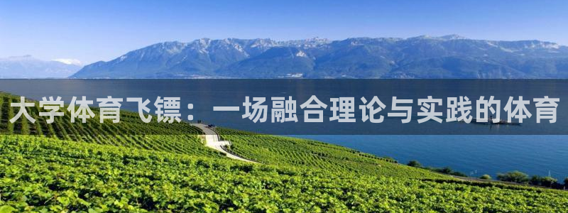 大学体育飞镖：一场融合理论与实践的体育